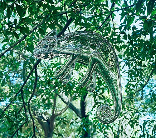 CD / wacci / Empathy (CD+DVD) (初回生産限定盤A) / ESCL-5320