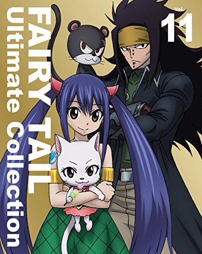 BD / TVAj / FAIRY TAIL Ultimate Collection Vol.11(Blu-ray) (ubNbg(12P)) / EYXA-12269