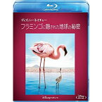 BD / ドキュメンタリー / ディズニーネイチャー/フラミンゴに隠された地球の秘密(Blu-ray) / VWBS-6854