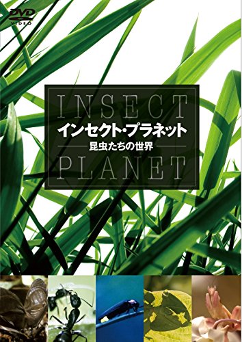 【取寄商品】DVD / 趣味教養 / インセクト・プラネット 昆虫たちの世界 / WAC-D583