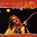 CD / ラリー・カールトン / ベスト・オブ・ミスター335 (SHM-CD)