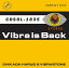 ڼʡCD / CHIKADA HARUO &VIBRASTONE / Vibra is Back ()