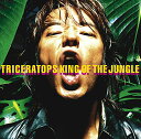 KING OF THE JUNGLE (Blu-specCD2)TRICERATOPSトライセラトップス とらいせらとっぷす　発売日 : 2016年8月24日　種別 : CD　JAN : 4582290418452　商品番号 : MHCL-30402【商品紹介】2017年にメジャーデビュー20周年を迎えるトライセラトップス。前作アルバムで大ブレイクを果たし、約1年半掛けてリリースされた本作は、次なる高みを目指すバンドとしての新境地的作品とも言える、これまでに無い、よりハード且つパワフルなサウンド&アレンジアプローチを全面に押し出したロックアルバム。アルバム表題曲「King Of The Jungle」、3ピースバンドならではのスピーディーなアンサンブルが楽しめる「Silly Scandals」(資生堂『ff(フフ)』CM曲)、哀愁感漂う新たなロックサウンドを完成させた「Fall Again」(フジテレビ系ドラマ『編集王』主題歌)を含む全12曲収録。【収録内容】CD:11.King Of The Jungle2.Silly Scandals3.摩天楼4.エメラルド5.Hotter Than Fire6.Fall Again7.Rain8.Listen9.Touch Me10.万華鏡へ11.Groove Walk12.New World