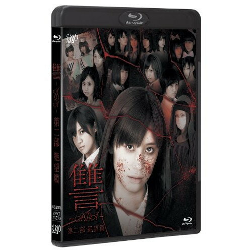 BD / 邦画 / 讐 ～ADA～ 第二部 絶望篇(Blu-ray) (本編Blu-ray+特典DVD) / VPXT-71273