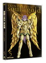 【取寄商品】DVD / OVA / 聖闘士星矢 黄金魂 -soul of gold- 5 (DVD+CD) (特装限定版) / BCBA-4706