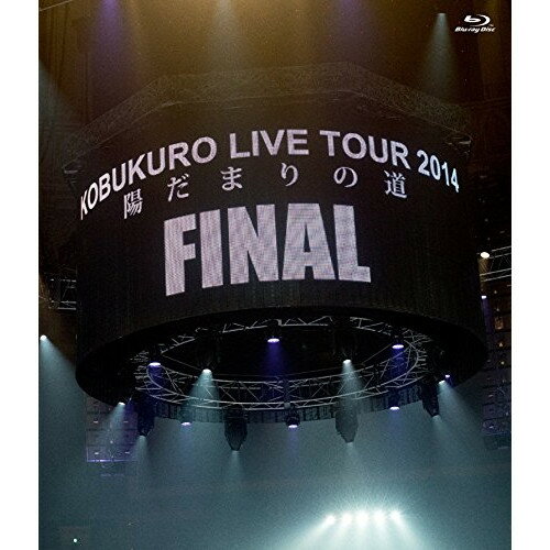 BD / コブクロ / KOBUKURO LIVE TOUR 2014 陽だまりの道 FINAL at 京セラドーム大阪(Blu-ray) / WPXL-90091