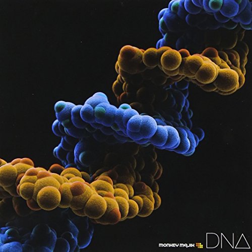 CD / MONKEY MAJIK / DNA (CD+DVD) / AVCH-78051