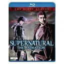 SUPERNATURAL THE ANIMATION(ファースト・シーズン) Vol.1(Blu-ray)OVA吉松孝博、内田夕夜、東地宏樹　発売日 : 2011年2月23日　種別 : BD　JAN : 4988135830692　商品番号 : WBA-F7056