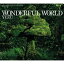 CD / 椺 / WONDERFUL WORLD (̾) / SNCC-86918