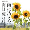 【取寄商品】CD / 眞鍋昭大 / WOWOW 連続ドラマW 雨に消えた向日葵 Original Soundtrack / OMR-36
