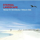 CD / Skoop On Somebody+織田哲郎 / ETERNAL LANDSCAPE / SECL-682