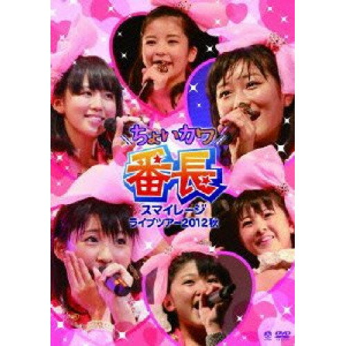 DVD / スマイレージ / スマイレージライブツアー2012秋 ちょいカワ番長 / HKBN-50175