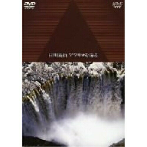DVD / 趣味教養 / 人類起源の大地に滝が流れる 白川義員 アフリカを撮る / COBB-4544