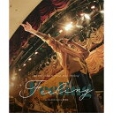  񏤕i BD   the chef cooks me   Tour 2022 hFeelingh at DANCE HALL VI(Blu-ray)   ODBL-2