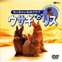 【取寄商品】DVD / 趣味教養 / ウサギとリス/ちっちゃいものクラブ / SDA-23