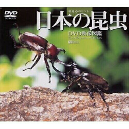 【取寄商品】DVD / 趣味教養 / 日本の昆虫(DVD映像図鑑) / SDA-25 【取寄商品】DVD / 趣味教養 / 日本の昆虫(DVD映像図鑑) / SDA-25
