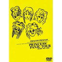 DVD / PRINCESS PRINCESS / PRINCESS PANIC TOUR HERE WE ARE / SEBL-14