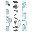 【取寄商品】DVD / 趣味教養 / 熱帯魚映像図鑑 バーチャル・アクアリウム 映像と音で愉しむ美しき熱帯魚の世界 / SDA-96