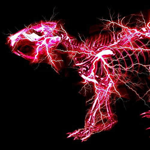 CD / SUPER BEAVER / グラデーション (CD+DVD) (初回生産限定盤B) / SRCL-12467