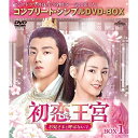【新古品(未開封)】【DVD】初恋王宮〜お妃さまと呼ばないで〜 BOX1 <コンプリート・シンプルDVD-BOX5,000円シリーズ>【期間限定生産】カービィ・...