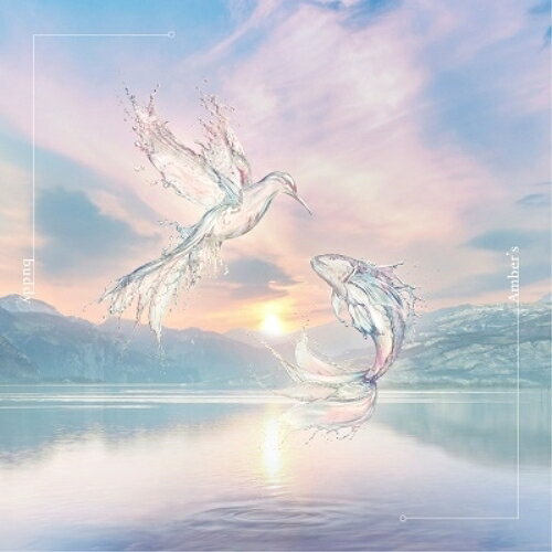 CD / Amber's / buddy (通常盤) / ESCL-5758