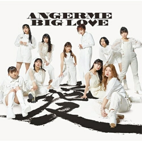 BIG LOVE (通常盤)アンジュルムあんじゅるむ　発売日 : 2023年3月22日　種別 : CD　JAN : 4942463857561　商品番号 : HKCN-50756【商品紹介】前作『輪廻転生〜ANGERME Past,Present & Future〜』から約4年ぶり、待望のアンジュルムNEWアルバム発売が決定!2019年11月発売のシングル「私を創るのは私」から最新作までのシングル収録曲(ソロ除く)に加え、メンバーシャッフル曲など新録曲8作品を含む全23曲収録予定!【収録内容】CD:11.私を創るのは私2.全然起き上がれないSUNDAY3.明晩、ギャラクシー劇場で4.限りあるMoment5.ミラー・ミラー6.SHAKA SHAKA TO LOVE7.はっきりしようぜ8.泳げないMermaid9.愛されルート A or B?10.SHAKA SHAKA #2 LOVE カラフルライフ編11.愛・魔性12.ハデにやっちゃいな!13.愛すべきべき Human Life14.悔しいわ15.Piece of Peace〜しあわせのパズル〜CD:21.Survive〜生きてく為に夢を見んだ2.ぶっ壊したい3.23時のペルソナ4.根っからプレイボーイ5.Top!6.Sister Sister7.まぁ、いっか!8.Forever Friend