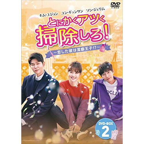 【エントリーでポイント10倍】 【取寄商品】DVD / 海外TVドラマ / とにかくアツく掃除しろ!〜恋した彼は潔癖王子!?〜DVD-BOX2 / BIBF-9132