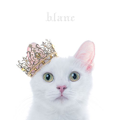 CD / Aimer / BEST SELECTION ”blanc” (通常盤) / SECL-2143