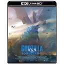 【取寄商品】BD / カイル・チャンドラー / ゴジラ キング・オブ・モンスターズ / TBR-31166D