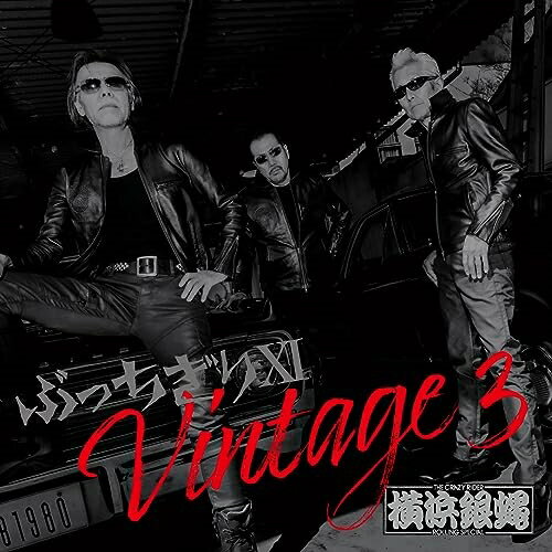 【取寄商品】CD / T.C.R.横浜銀蝿R.S. / ぶっちぎりXI Vintage 3 通常盤 / BZCS-1210