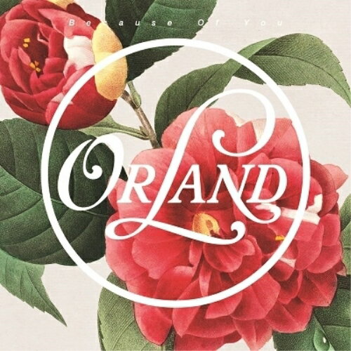 【取寄商品】EP / Orland / Because Of You (完全限定プレス盤) / MONC-14