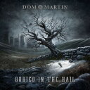 【取寄商品】CD / ドム・マーティン / ベアリド・イン・ザ・ヘイル / BSMF-6241