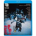 書を捨てよ町へ出よう(HDニューマスター版)(Blu-ray) (廉価版)邦画佐々木英明、斎藤正治、小林由起子、平泉征、寺山修司、下田逸郎、J・A・シーザー、柳田博義　発売日 : 2024年1月10日　種別 : BD　JAN : 4988003885618　商品番号 : KIXF-1701