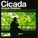 CD / 槇原敬之 / Cicada(通常盤) / SRCL-4541