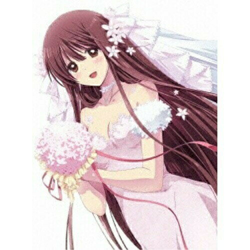 DVD / TVアニメ / レーカン! 3 / TKBA-5303