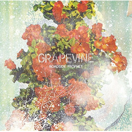 CD / GRAPEVINE / ROADSIDE PROPHET (通常盤) / VICL-64820