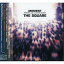 CD / THE SQUARE / MOMENT〜MEMORIAL LIVE at CHICKEN GEORGE〜 / VRCL-3334 3,142円