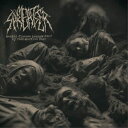 【取寄商品】CD / MEAT SPREADER / Mental Disease Transmitted By Radioactive Fear / ORCD-198