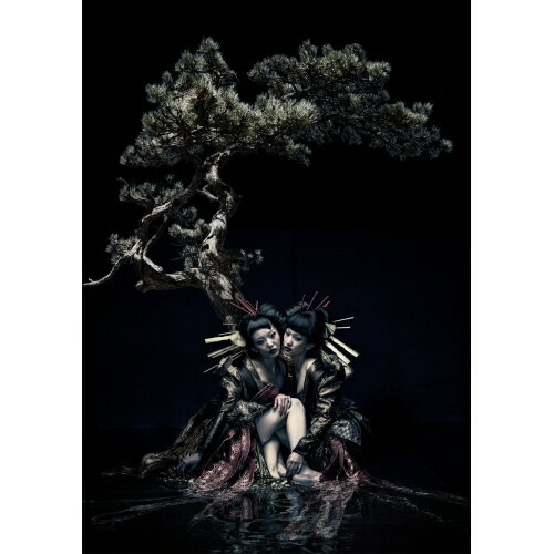 DVD / the GazettE / the GazettE LIVE TOUR 12-13(DIVISION) FINAL MELT LIVE AT 03....