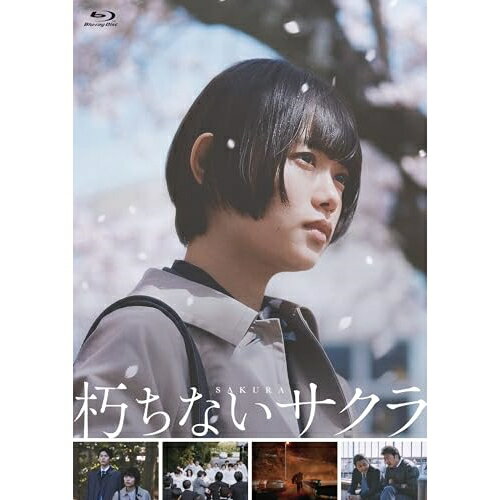 【エントリーでポイント10倍】 【取寄商品】BD / 邦画 / 朽ちないサクラ(Blu-ray) / TCBD-1659