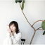 CD / 柴田淳 / 901号室のおばけ (歌詞付) / VICL-66023 3,520円
