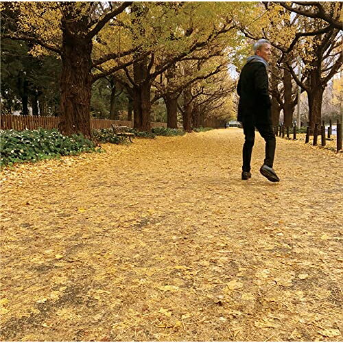 【中古】［CD］或る秋の日(受注生産限定盤) dma-35.jpg