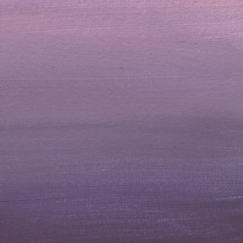 CD / 離婚伝説 / 離婚伝説 (通常盤) / BVCL-1495