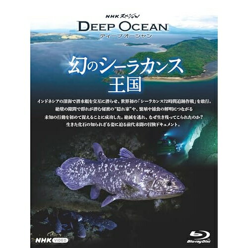 【取寄商品】BD / 趣味教養 / NHKスペシャル ディープオーシャン 幻のシーラカンス王国(Blu-ray) / NSB..