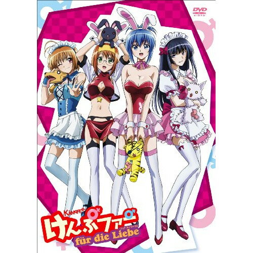 【中古】 DVD / けんぷファー フュア ディ リ [KIBA-91847]（ 盤:A /パッケージ:A)