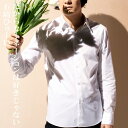 CD / 石崎ひゅーい / だからカーネーションは好きじゃない / DFCL−2056