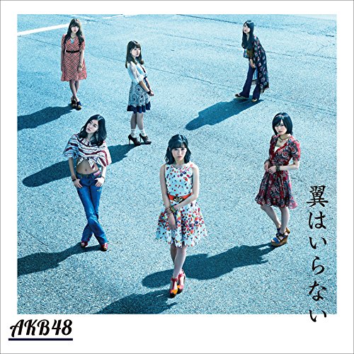 CD / AKB48 / 翼はいらない (CD+DVD) (通常盤/Type C) / KIZM-433