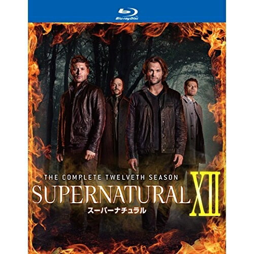 SUPERNATURAL XII スーパーナチュラル(トゥエルブ・シーズン) コンプリート・ボックス(Blu-ray)海外TVドラマジャレッド・パダレッキ、ジェンセン・アクレス、ミシャ・コリンズ　発売日 : 2017年9月13日　種別 : BD　JAN : 4548967337020　商品番号 : 1000652849