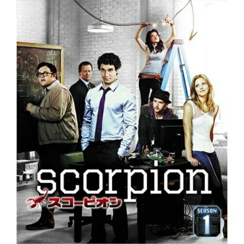DVD / 海外TVドラマ / SCORPION/スコーピオン シーズン1(トク選BOX) (廉価版) / PJBF-1174