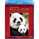BD / ドキュメンタリー / ディズニーネイチャー/ボーン・イン・チャイナ -パンダ・ユキヒョウ・キンシコウ-(Blu-ray) / VWBS-6858